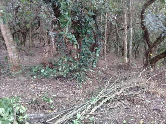 Venda em Granja Viana - Cotia