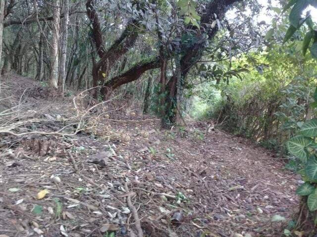 Terreno em condomínio para Venda em Cotia - 4