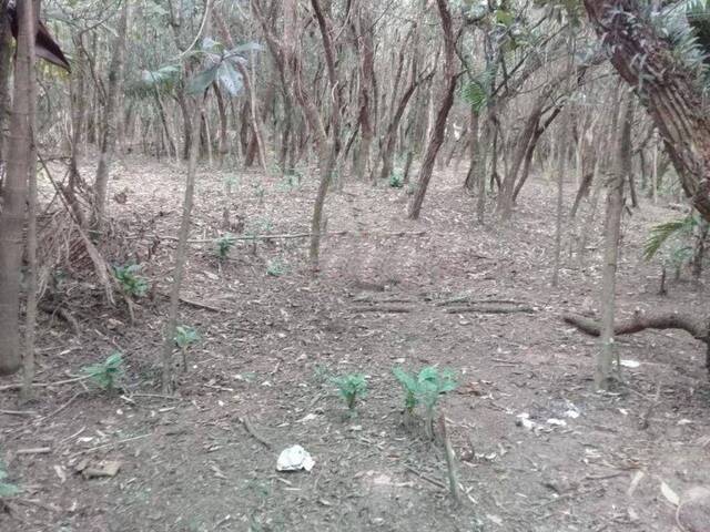 #TE0502 - Terreno em condomínio para Venda em Cotia - SP - 3